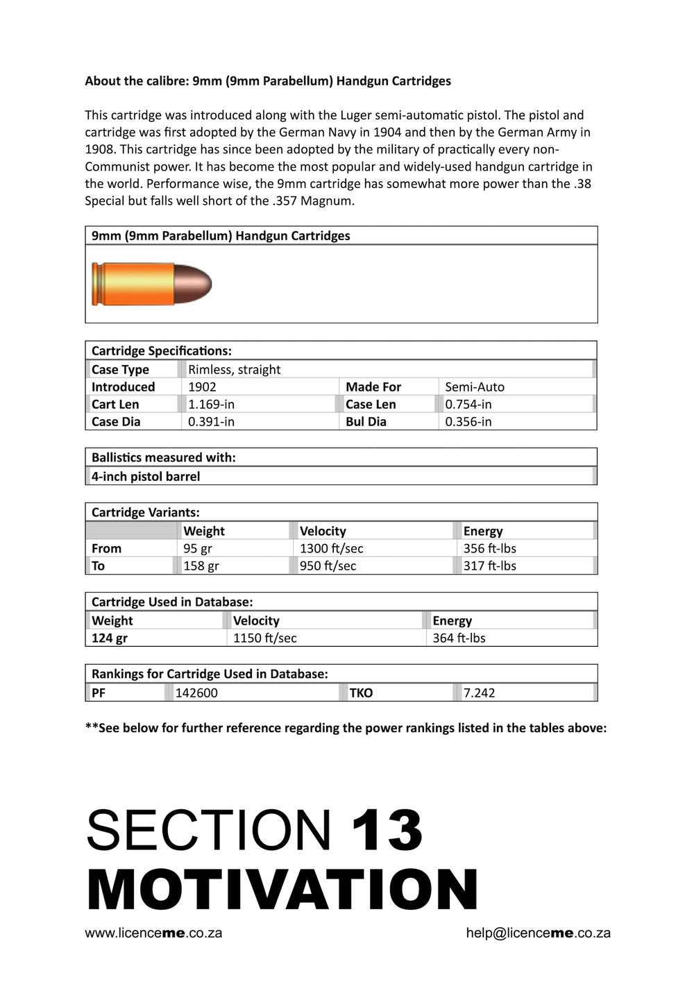 Example page for SAPS Firearm Motivation with details on calibre.